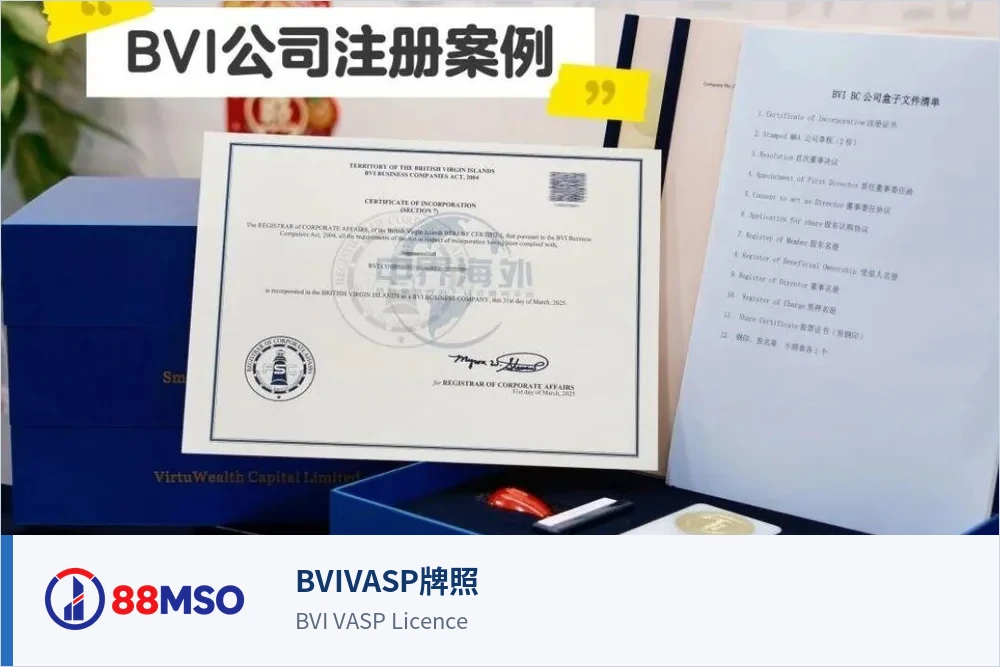 BVIVASP牌照