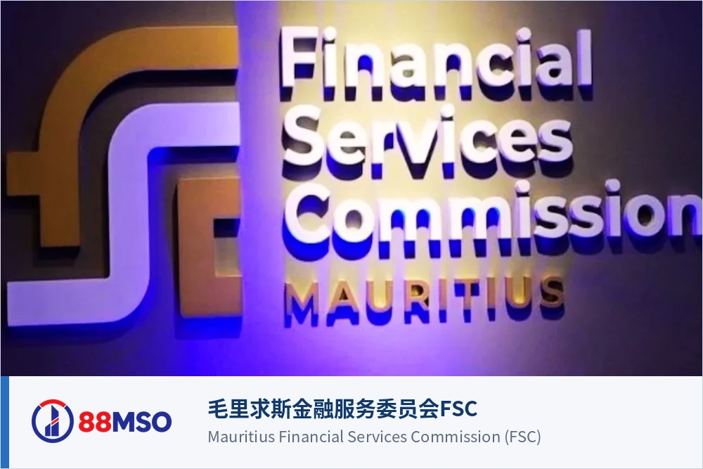 mauritius gbl tax treaty context bilingual 毛里求斯金融服务委员会FSC