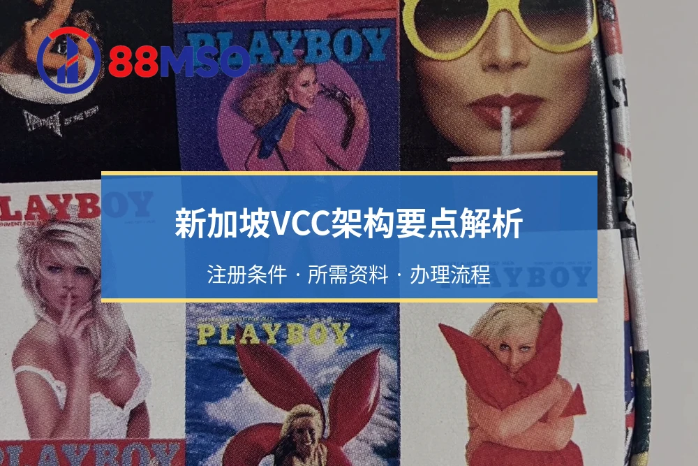 新加坡VCC架构要点解析：注册条件 · 所需资料 · 办理流程