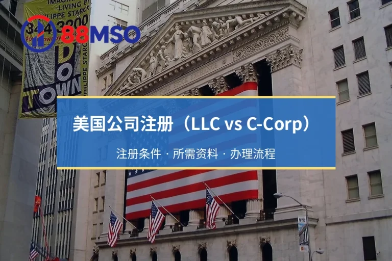 美国公司注册（LLC vs C-Corp）：跨境税务综合考量与各州费用对比